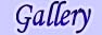 Gallery Pictures
