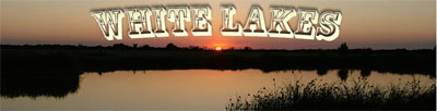 White Lakes - Carp and Cat fishing in Mayland Essex
